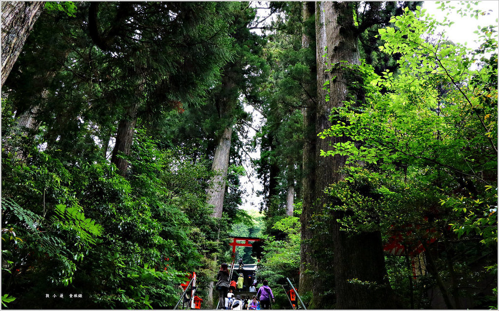 【神奈川箱根】東京五天四夜半自助旅行‧箱根神社裡的九頭龍神社求事業姻緣都很靈驗特受日本女性歡迎 - 第5張圖 IMG_3487