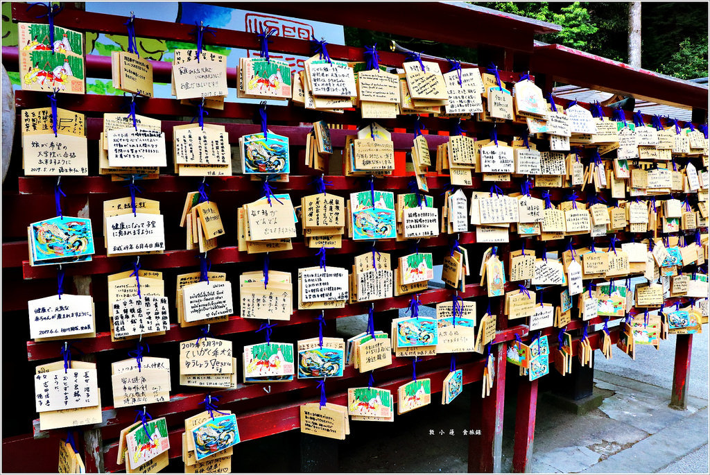 【神奈川箱根】東京五天四夜半自助旅行‧箱根神社裡的九頭龍神社求事業姻緣都很靈驗特受日本女性歡迎 - 第10張圖 IMG_3521