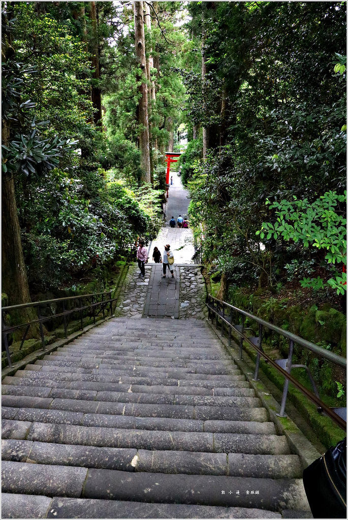 【神奈川箱根】東京五天四夜半自助旅行‧箱根神社裡的九頭龍神社求事業姻緣都很靈驗特受日本女性歡迎 - 第15張圖 IMG_3530