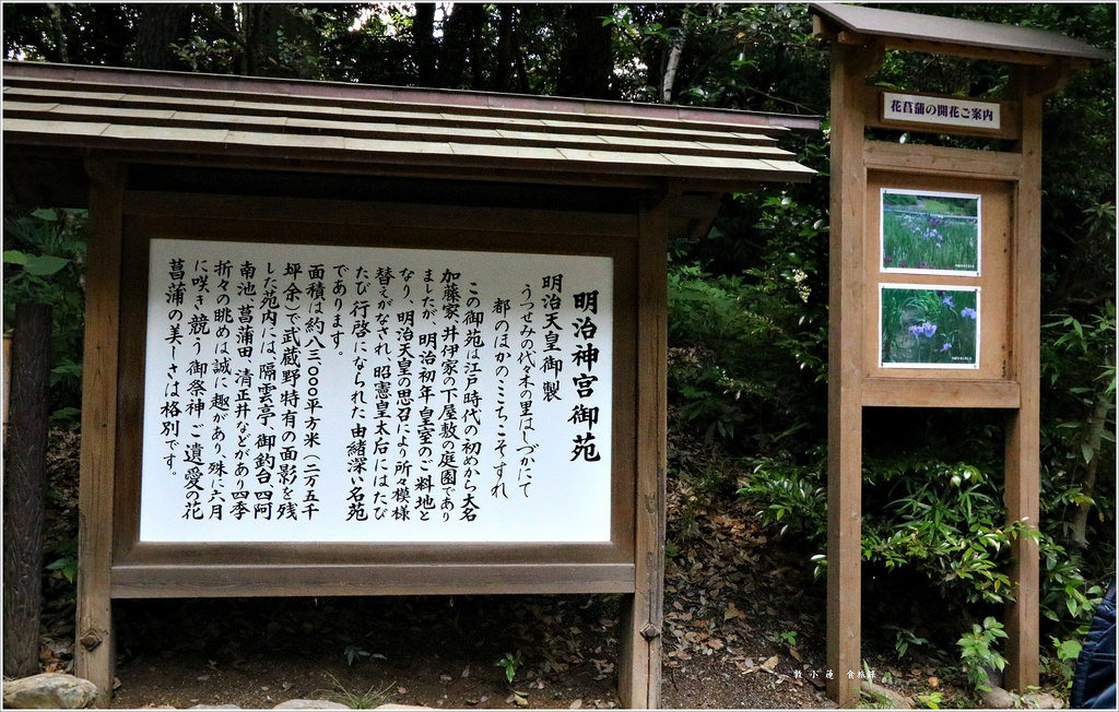 【日本‧原宿】東京五天四夜半自助旅行‧明治神宮散步去&表參道精品百貨街 - 第9張圖 IMG_3089