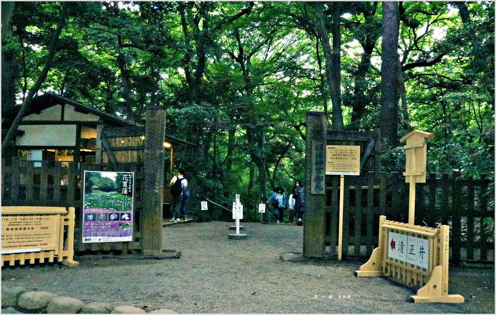 【日本‧原宿】東京五天四夜半自助旅行‧明治神宮散步去&表參道精品百貨街 - 第10張圖 IMG_3091