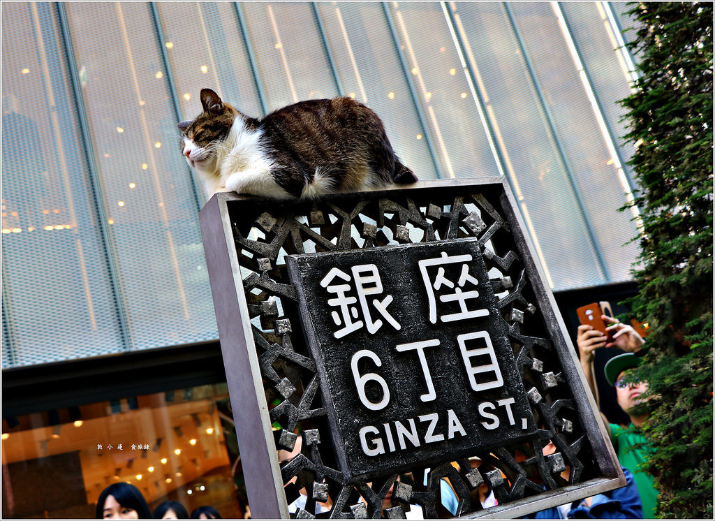 【日本‧銀座】東京五天四夜半自助旅行‧假日車流禁行,享受銀座一丁目慢步到八丁目無壓力購物 - 第33張圖 IMG_2774