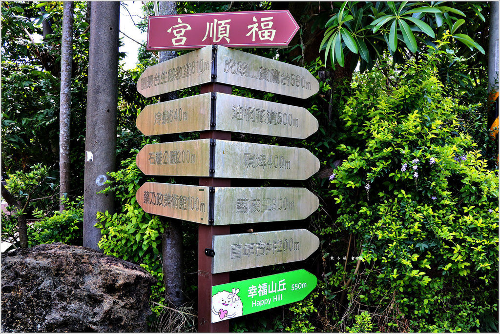 幸福山丘happyhill‧圓林仔社區賞桐花,嘉義必訪的打卡熱點,山中小秘境幸福山丘happyhill - 第4張圖 IMG_1390