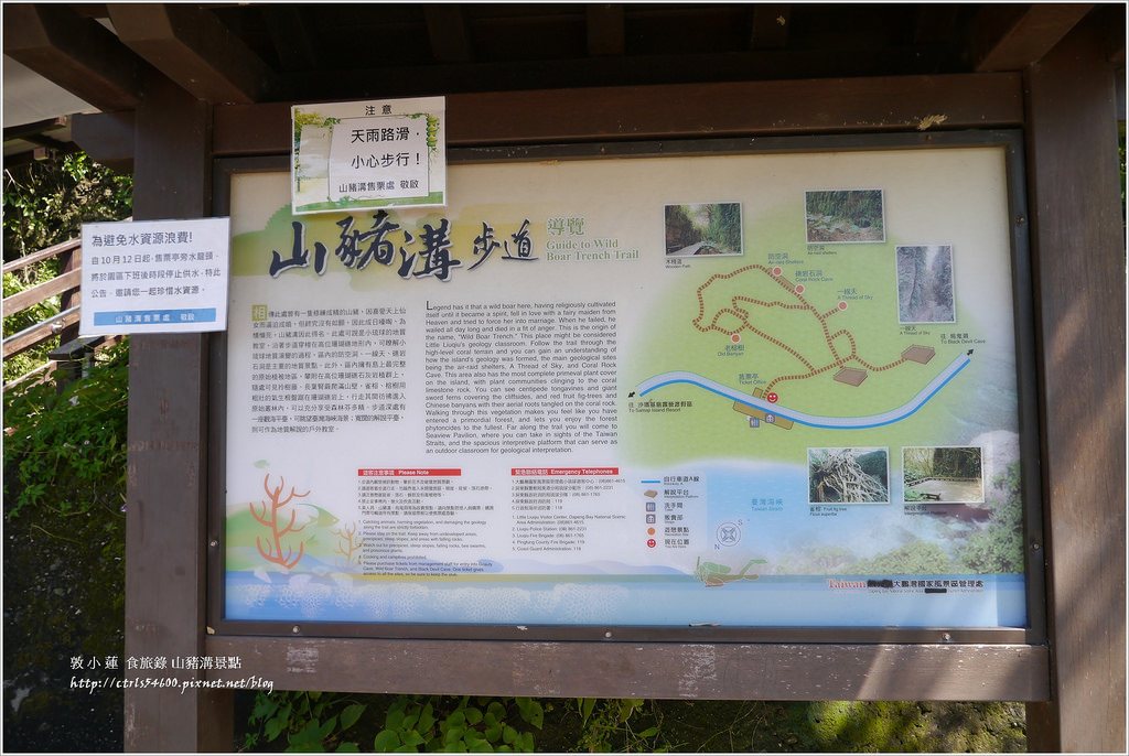 小琉球‧小琉球必訪景點山豬溝步道、烏鬼洞、花瓶岩,清晨環島就是舒服 - 第3張圖 P1320435
