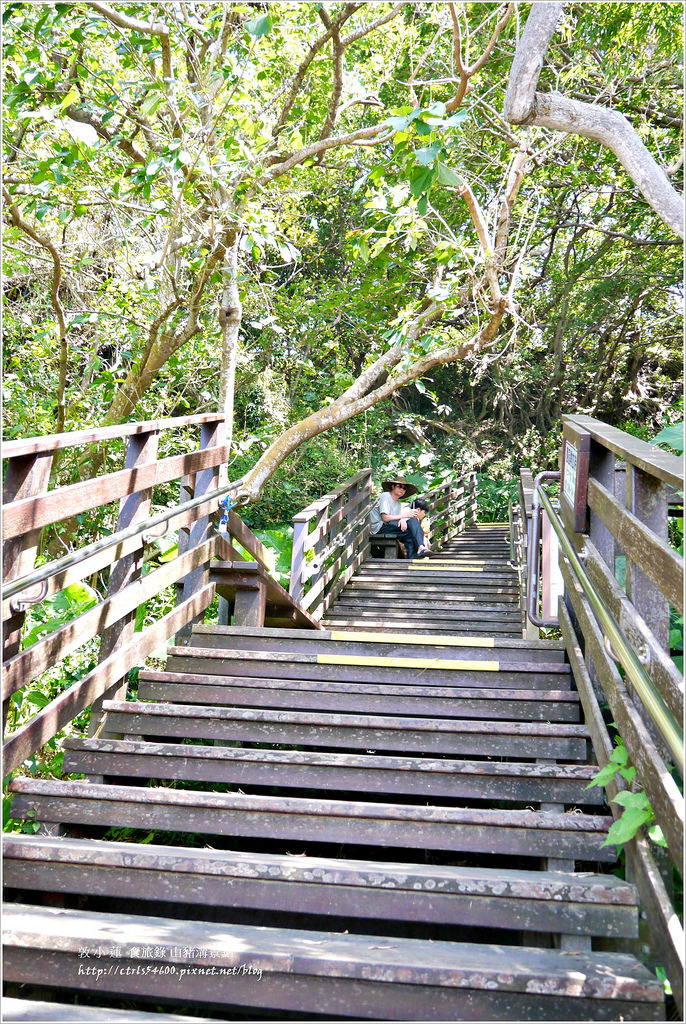 小琉球‧小琉球必訪景點山豬溝步道、烏鬼洞、花瓶岩,清晨環島就是舒服 - 第4張圖 P1320402