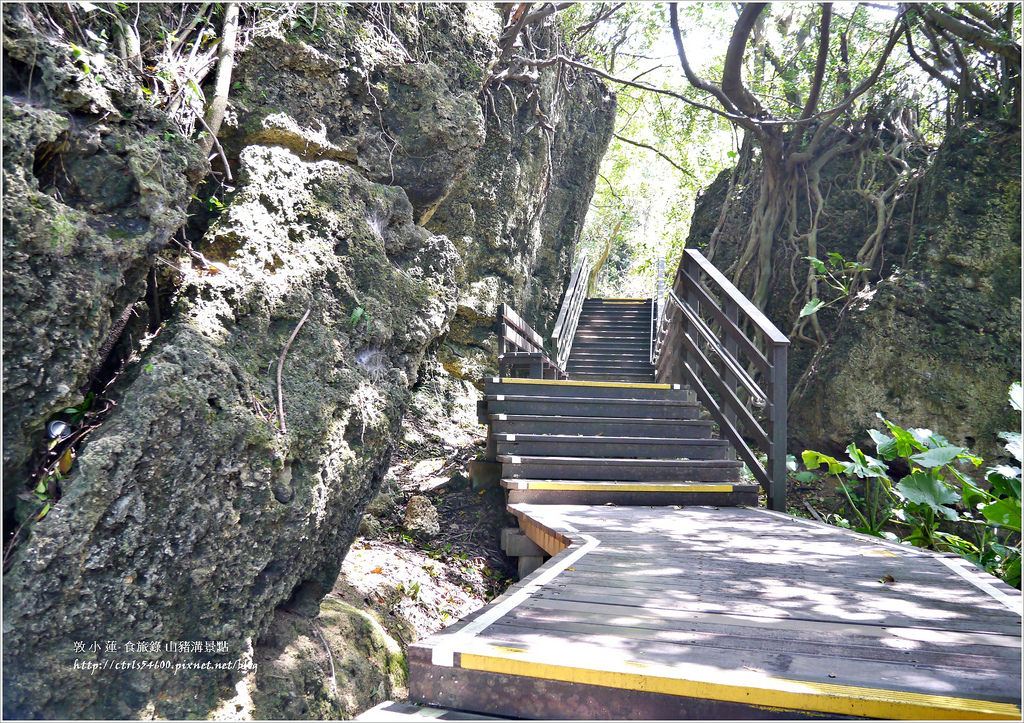 小琉球‧小琉球必訪景點山豬溝步道、烏鬼洞、花瓶岩,清晨環島就是舒服 - 第5張圖 P1320404