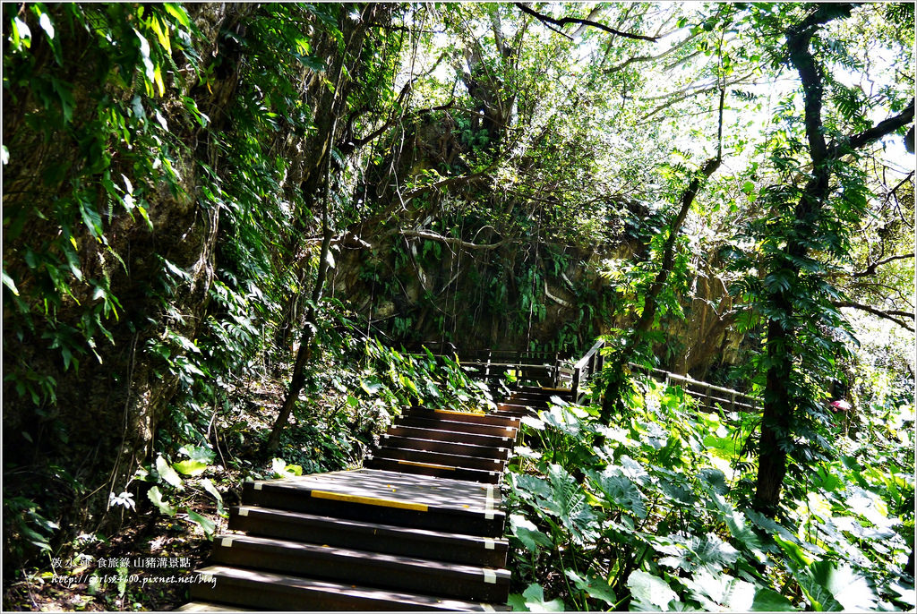 小琉球‧小琉球必訪景點山豬溝步道、烏鬼洞、花瓶岩,清晨環島就是舒服 - 第6張圖 P1320407