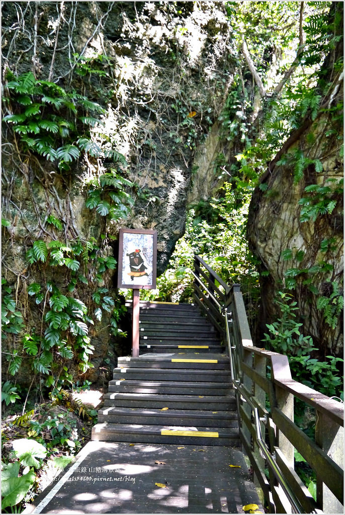 小琉球‧小琉球必訪景點山豬溝步道、烏鬼洞、花瓶岩,清晨環島就是舒服 - 第11張圖 P1320417