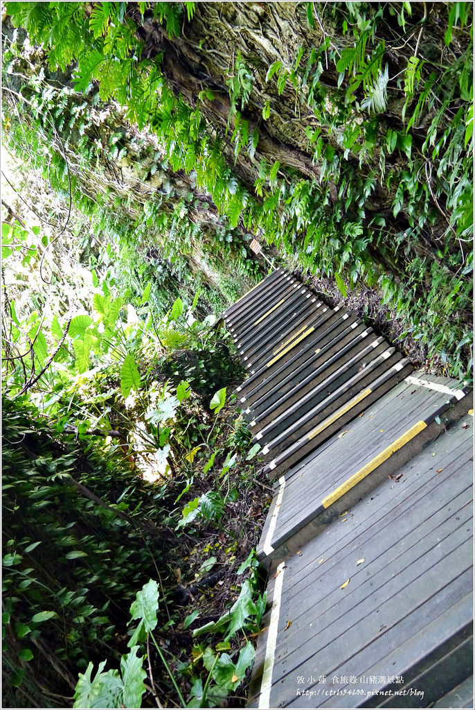 小琉球‧小琉球必訪景點山豬溝步道、烏鬼洞、花瓶岩,清晨環島就是舒服 - 第12張圖 P1320423
