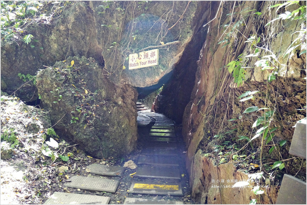 小琉球‧小琉球必訪景點山豬溝步道、烏鬼洞、花瓶岩,清晨環島就是舒服 - 第14張圖 P1320429
