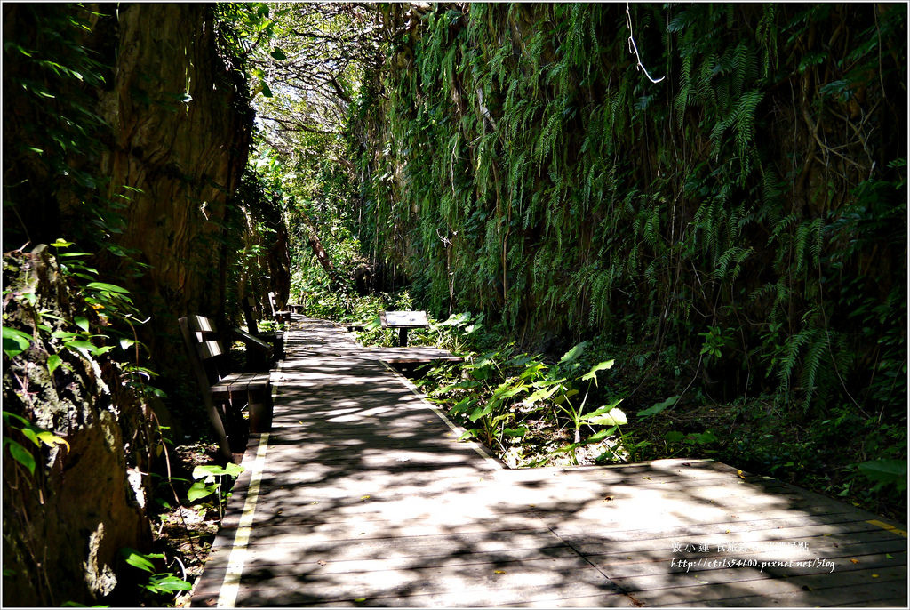 小琉球‧小琉球必訪景點山豬溝步道、烏鬼洞、花瓶岩,清晨環島就是舒服 - 第15張圖 P1320428