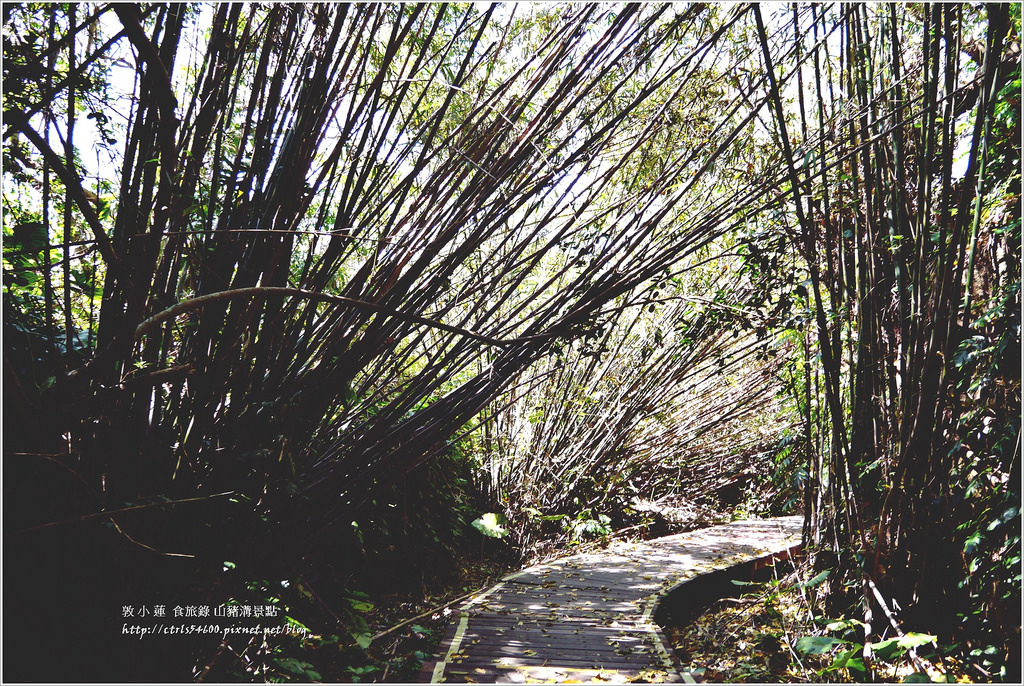 小琉球‧小琉球必訪景點山豬溝步道、烏鬼洞、花瓶岩,清晨環島就是舒服 - 第16張圖 P1320432