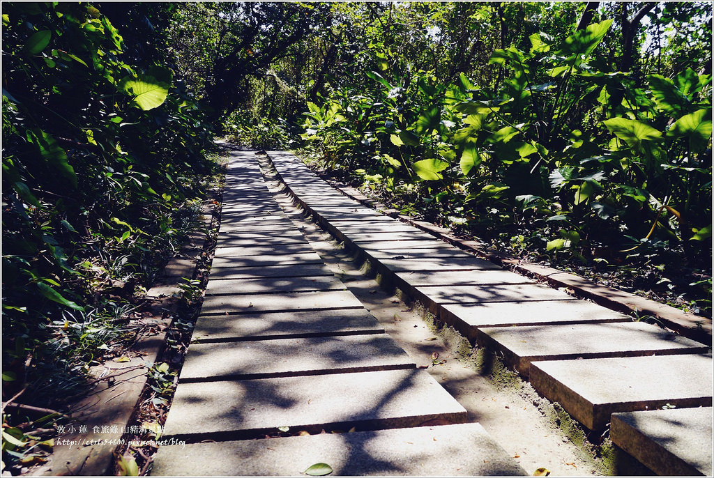 小琉球‧小琉球必訪景點山豬溝步道、烏鬼洞、花瓶岩,清晨環島就是舒服 - 第18張圖 P1320434