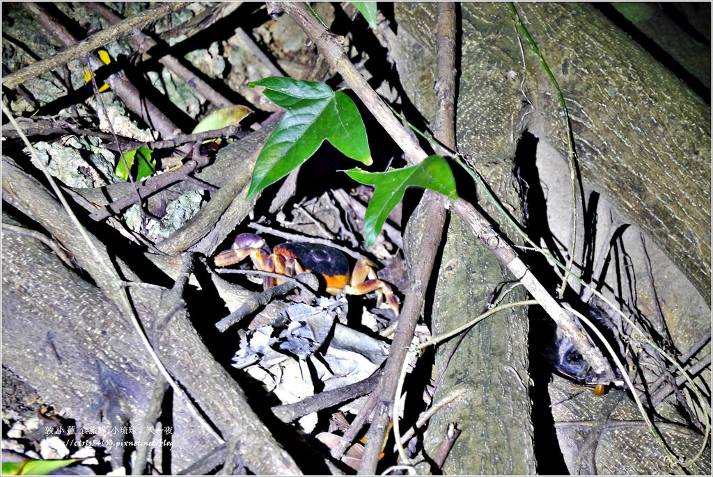 小琉球輕旅行‧一年四季都適合去浮潛環島的小島,只要沒颱風船班都照開 - 第25張圖 P1320546