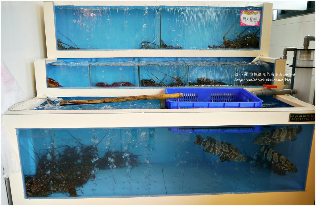 咱的海產店‧恆春後壁湖最美味的海產店 - 第8張圖 P1300265