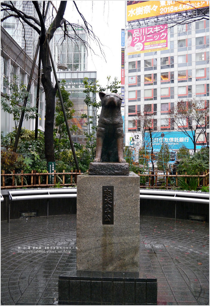 【日本】東京四天三夜自助旅行‧新手玩自助搞懂交通就能清鬆遊東京 - 第42張圖 P1270932