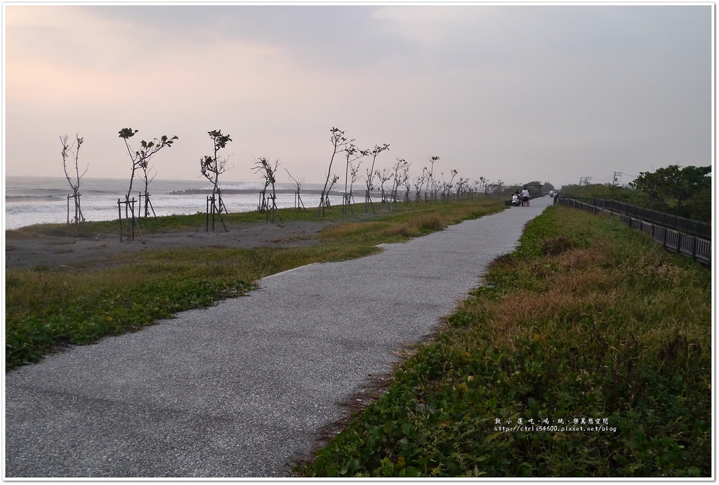 鵬灣跨海大橋‧不看夕陽不看海來看大鵬展翅的琉璃金剛鸚鵡 - 第6張圖 P1240146