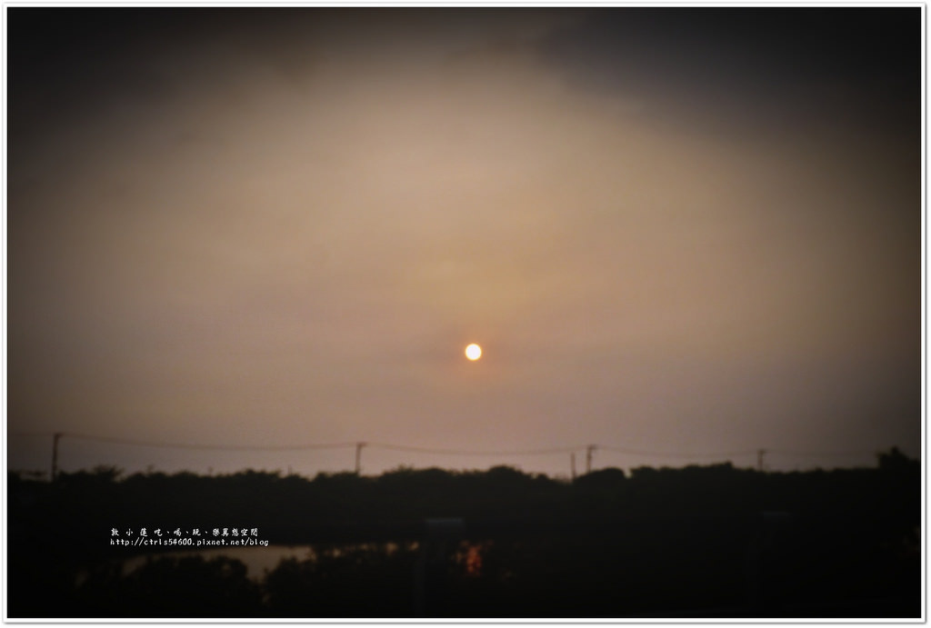 鵬灣跨海大橋‧不看夕陽不看海來看大鵬展翅的琉璃金剛鸚鵡 - 第7張圖 P1240141