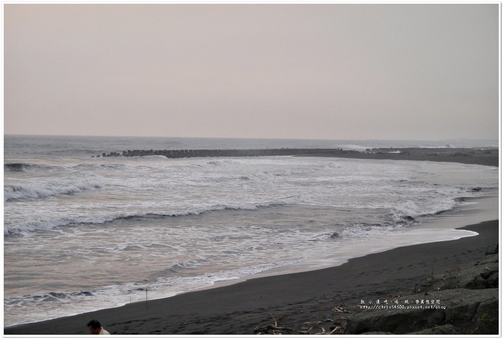 鵬灣跨海大橋‧不看夕陽不看海來看大鵬展翅的琉璃金剛鸚鵡 - 第8張圖 P1240149
