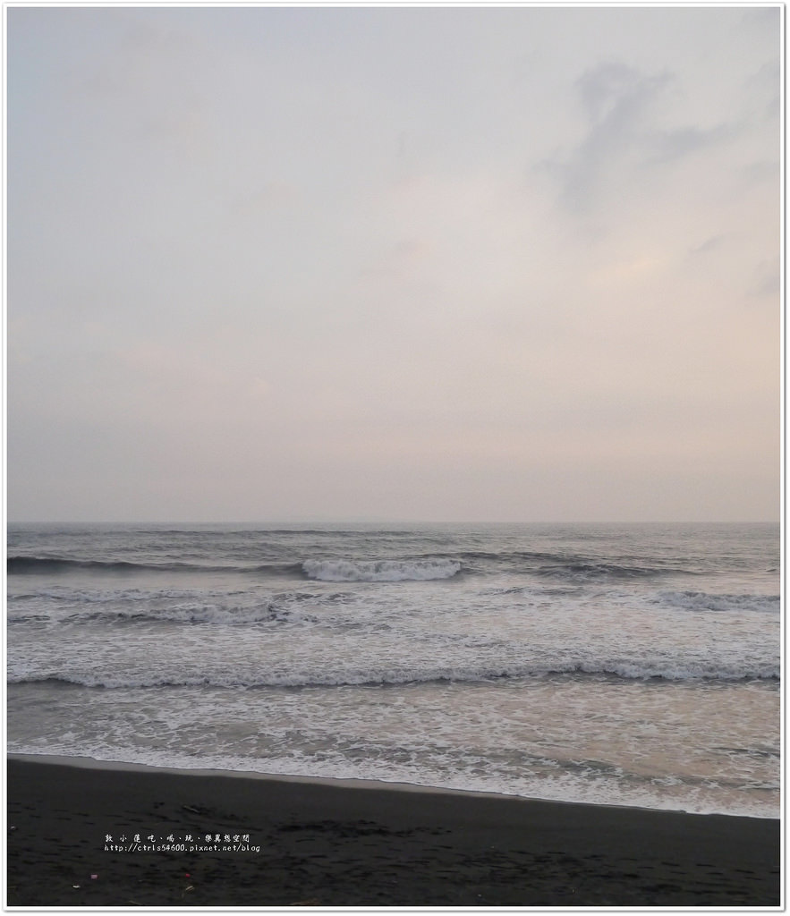 鵬灣跨海大橋‧不看夕陽不看海來看大鵬展翅的琉璃金剛鸚鵡 - 第10張圖 P1240151
