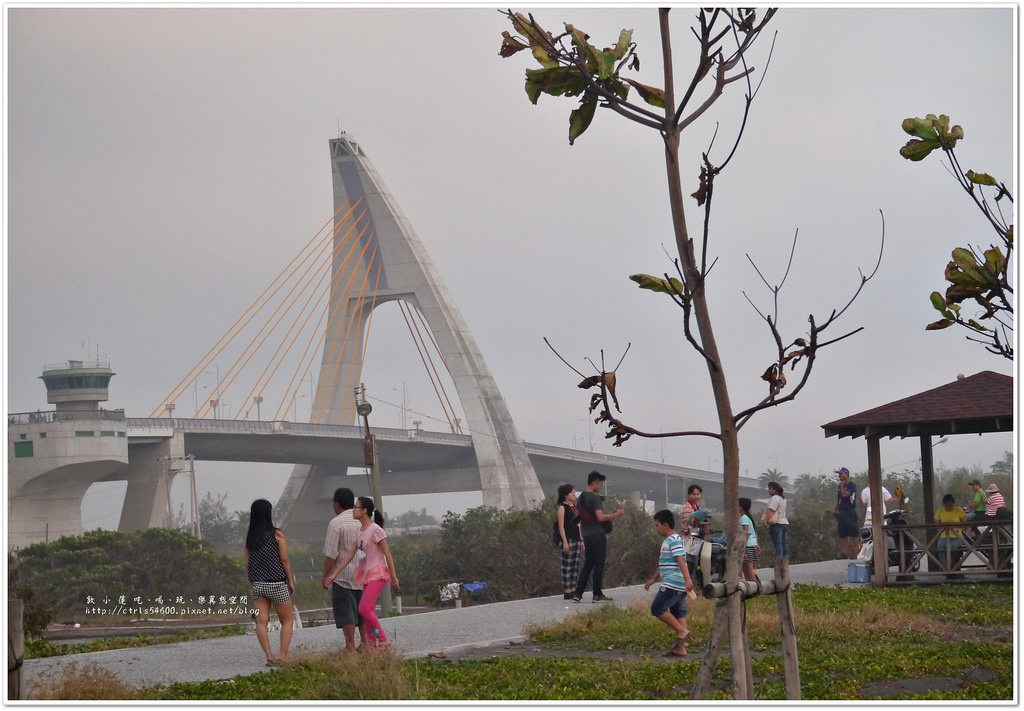 鵬灣跨海大橋‧不看夕陽不看海來看大鵬展翅的琉璃金剛鸚鵡 - 第14張圖 P1240147