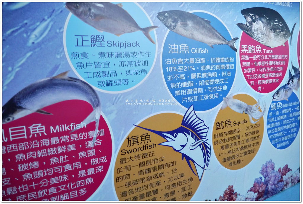 鮮饌道海洋鮮味文化館‧第一家以鱈魚香絲為主題的觀光工廠,那個魚到底是那個魚?! - 第5張圖 P1240105