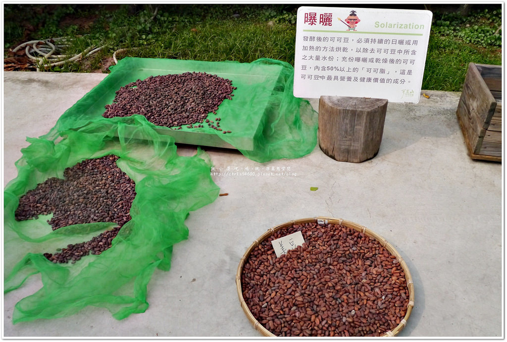 屏東一日遊‧不按牌理出牌走到那玩到那,來個車站、觀光工廠、小吃、海景、部落之旅 - 第20張圖 P1240049