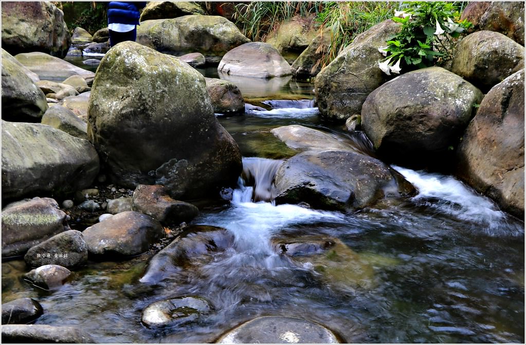 延溪竹林步道‧鹿谷竹林秘境,原始竹林彷彿置身嵐山,夏日溯溪的好地方 - 第18張圖 IMG_9751