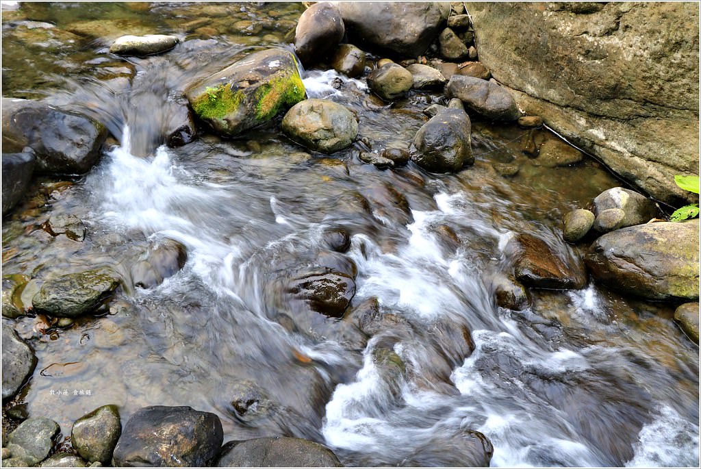 延溪竹林步道‧鹿谷竹林秘境,原始竹林彷彿置身嵐山,夏日溯溪的好地方 - 第17張圖 IMG_9748