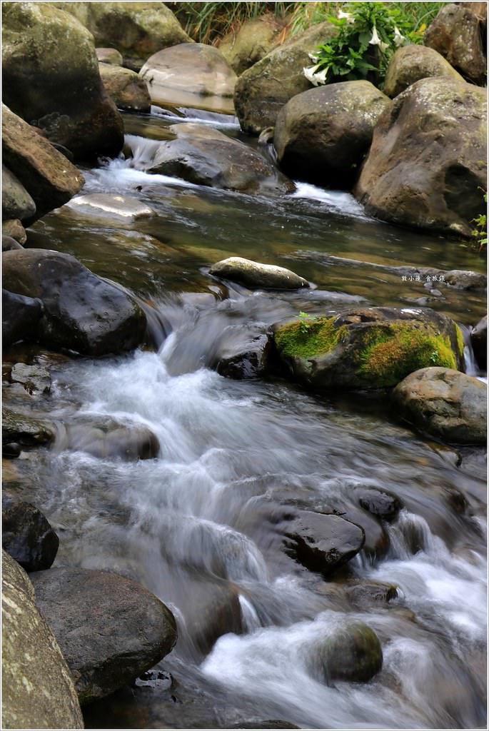 延溪竹林步道‧鹿谷竹林秘境,原始竹林彷彿置身嵐山,夏日溯溪的好地方 - 第20張圖 IMG_9765