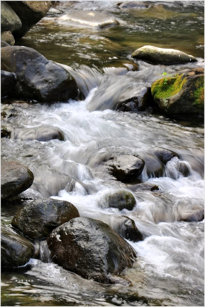 延溪竹林步道‧鹿谷竹林秘境,原始竹林彷彿置身嵐山,夏日溯溪的好地方 - 第13張圖 IMG_9736