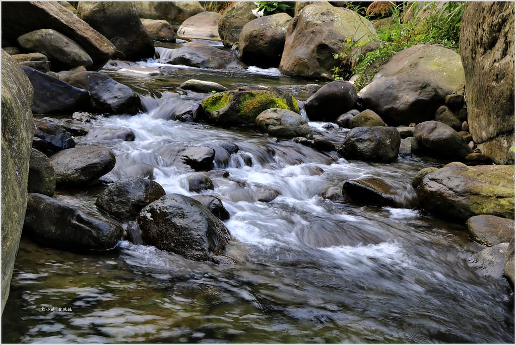 延溪竹林步道‧鹿谷竹林秘境,原始竹林彷彿置身嵐山,夏日溯溪的好地方 - 第15張圖 IMG_9745