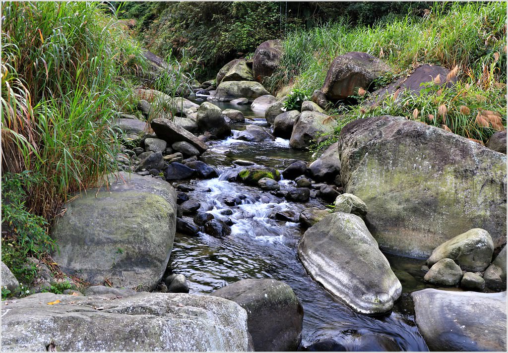 延溪竹林步道‧鹿谷竹林秘境,原始竹林彷彿置身嵐山,夏日溯溪的好地方 - 第12張圖 IMG_9739
