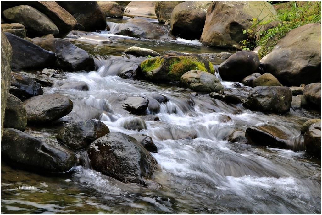 延溪竹林步道‧鹿谷竹林秘境,原始竹林彷彿置身嵐山,夏日溯溪的好地方 - 第16張圖 IMG_9746