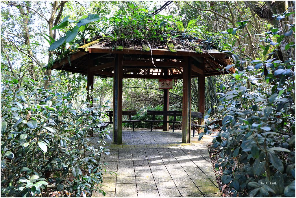 日月潭慈恩塔‧登高眺望360度日月潭美景,加碼單身人士必拜龍鳳宮月老廟 - 第8張圖 IMG_5901