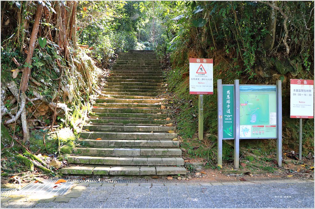 日月潭三天二夜野旅行‧美食、景點、民宿一把捉罩,不能錯過的懶人包 - 第46張圖 IMG_5883