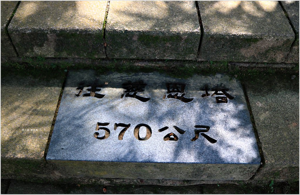 日月潭慈恩塔‧登高眺望360度日月潭美景,加碼單身人士必拜龍鳳宮月老廟 - 第4張圖 IMG_5886
