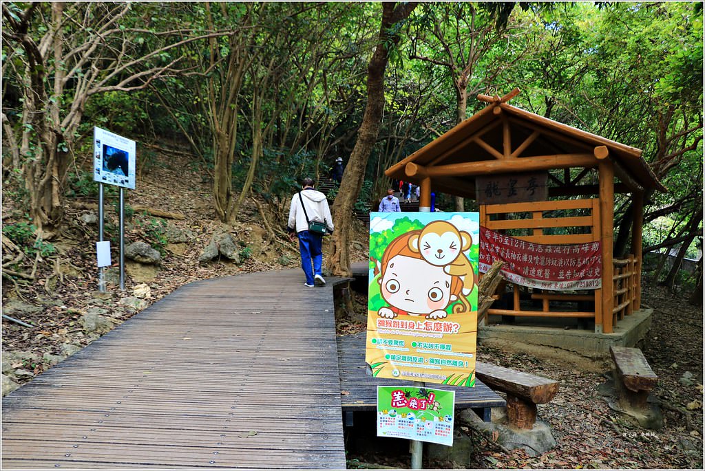 壽山國家公園‧高雄人的後山,柴山盤榕道讓你永生難忘~我為什麼要來這! - 第5張圖 IMG_8428