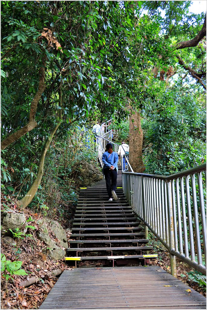 壽山國家公園‧高雄人的後山,柴山盤榕道讓你永生難忘~我為什麼要來這! - 第7張圖 IMG_8431