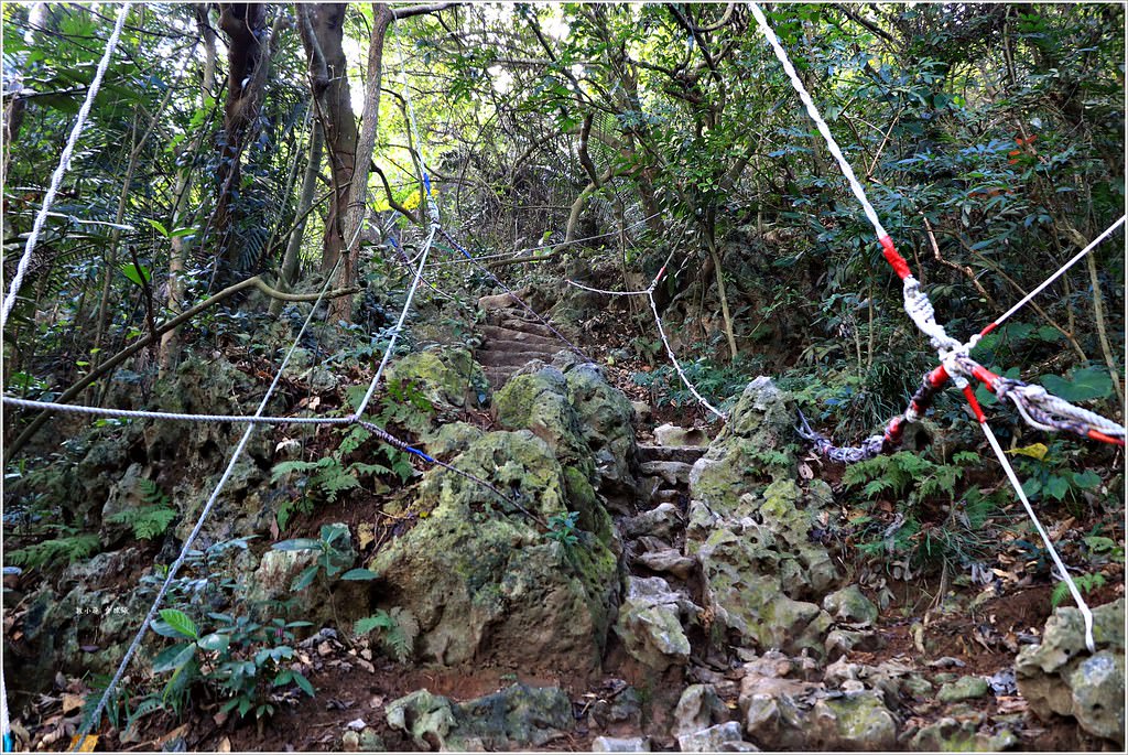 壽山國家公園‧高雄人的後山,柴山盤榕道讓你永生難忘~我為什麼要來這! - 第27張圖 IMG_8477