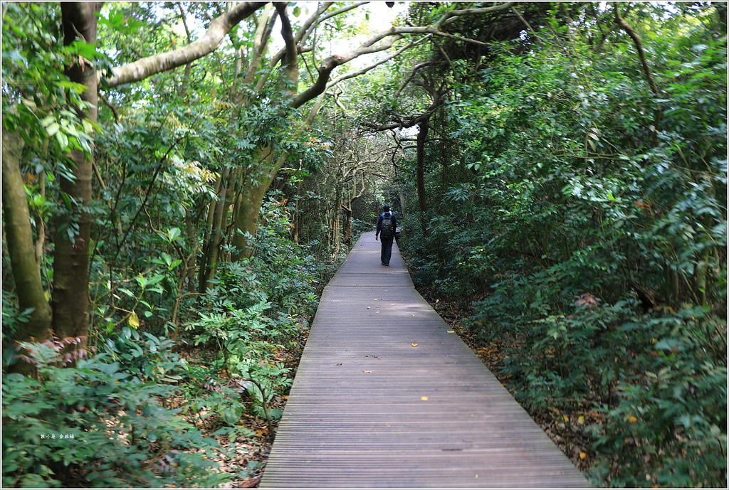 壽山國家公園‧高雄人的後山,柴山盤榕道讓你永生難忘~我為什麼要來這! - 第55張圖 IMG_8566