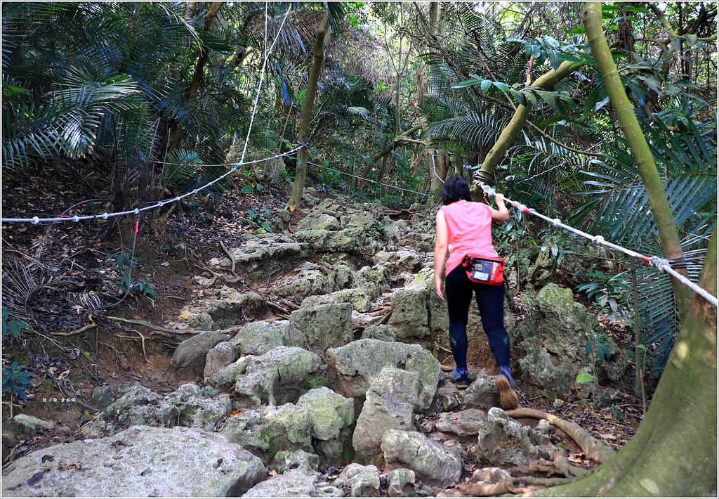 壽山國家公園‧高雄人的後山,柴山盤榕道讓你永生難忘~我為什麼要來這! - 第23張圖 IMG_8468