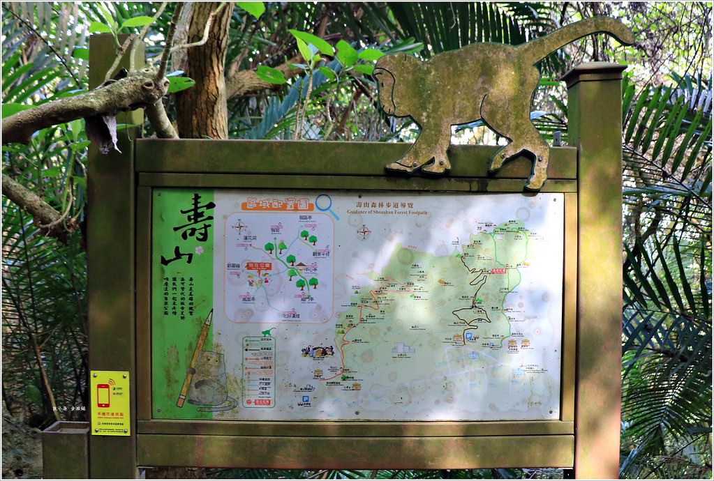 壽山國家公園‧高雄人的後山,柴山盤榕道讓你永生難忘~我為什麼要來這! - 第24張圖 IMG_8469
