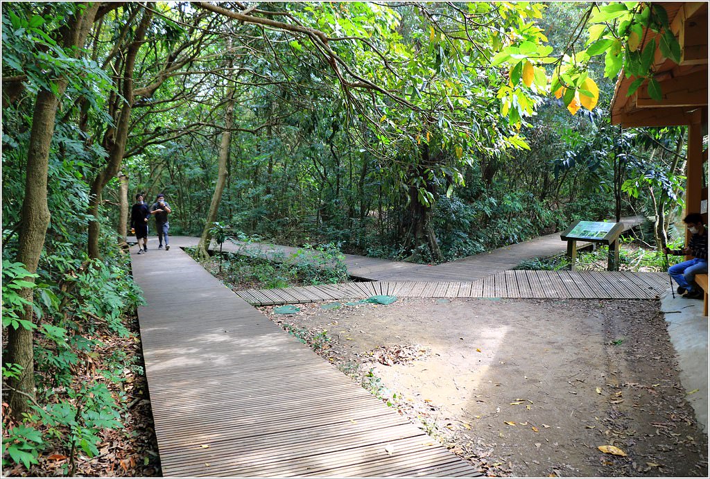 壽山國家公園‧高雄人的後山,柴山盤榕道讓你永生難忘~我為什麼要來這! - 第11張圖 IMG_8564