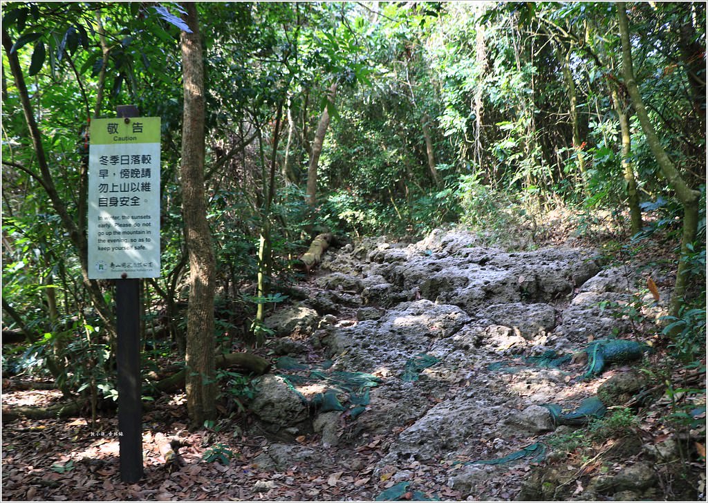 壽山國家公園‧高雄人的後山,柴山盤榕道讓你永生難忘~我為什麼要來這! - 第14張圖 IMG_8444