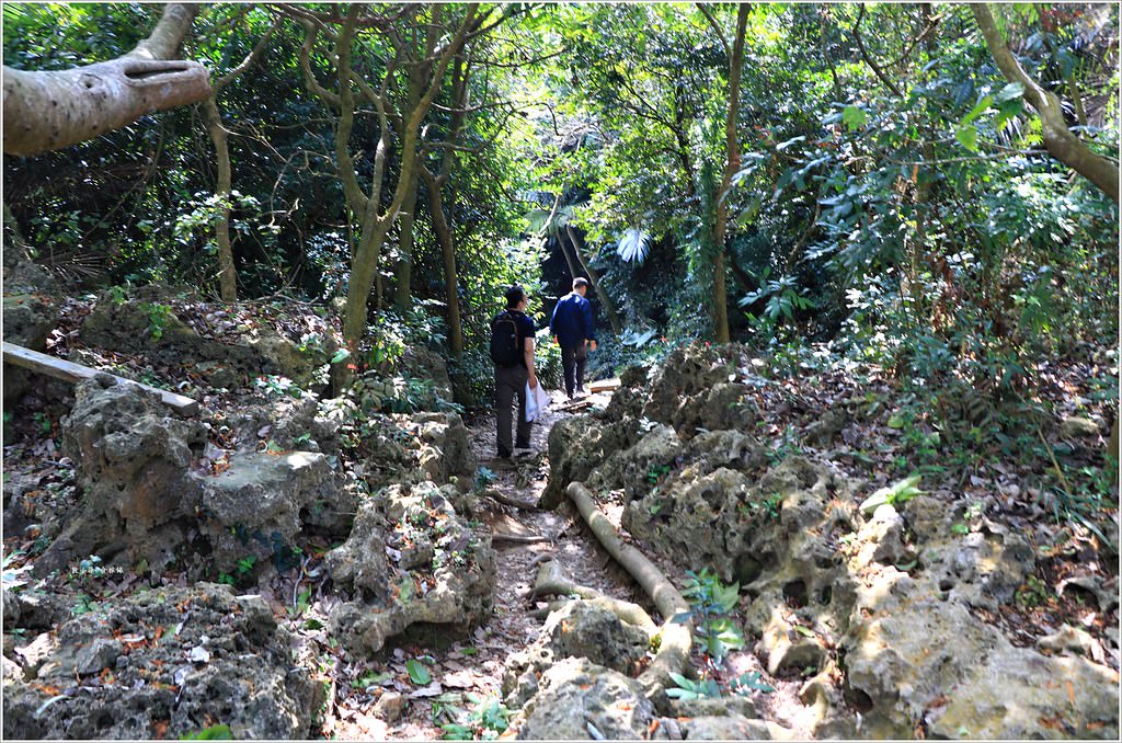 壽山國家公園‧高雄人的後山,柴山盤榕道讓你永生難忘~我為什麼要來這! - 第32張圖 IMG_8495