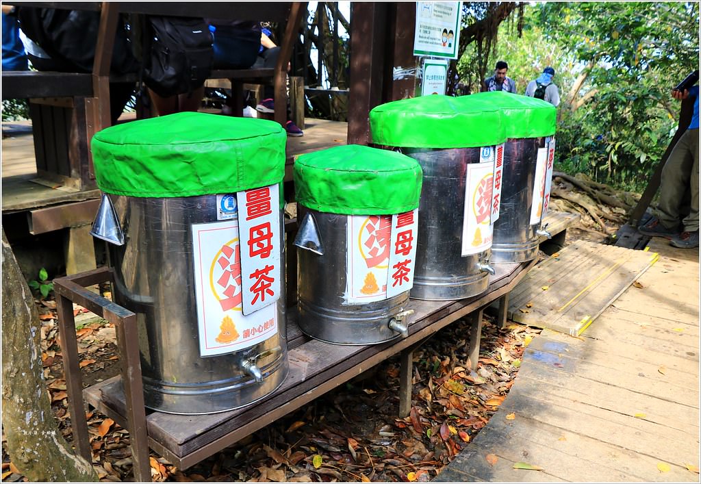 壽山國家公園‧高雄人的後山,柴山盤榕道讓你永生難忘~我為什麼要來這! - 第37張圖 IMG_8510