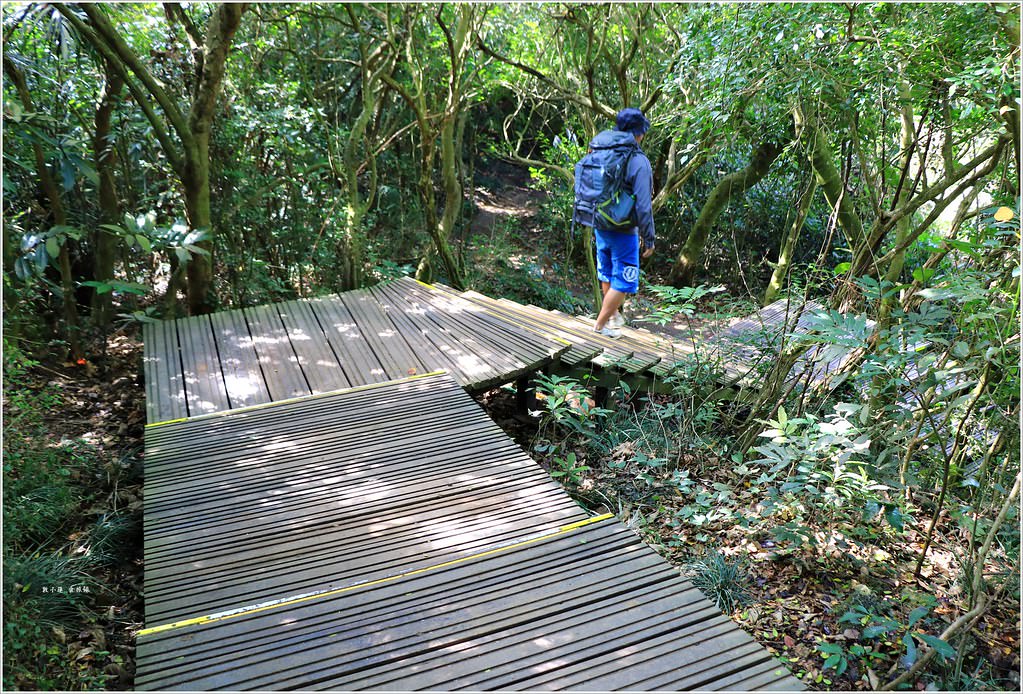 壽山國家公園‧高雄人的後山,柴山盤榕道讓你永生難忘~我為什麼要來這! - 第41張圖 IMG_8520
