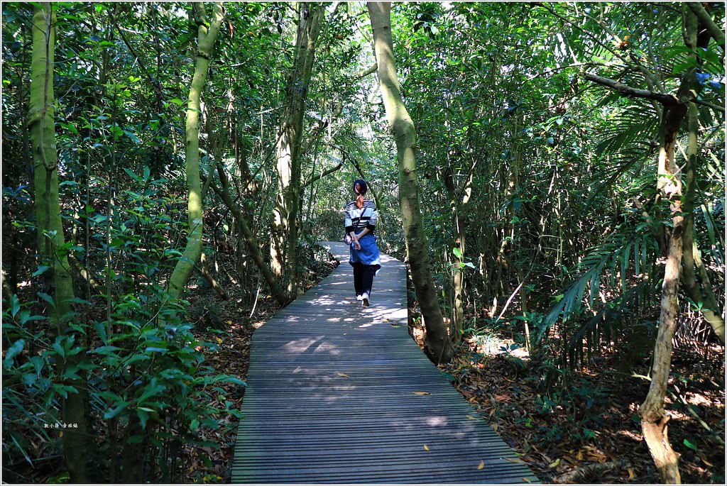 壽山國家公園‧高雄人的後山,柴山盤榕道讓你永生難忘~我為什麼要來這! - 第43張圖 IMG_8523