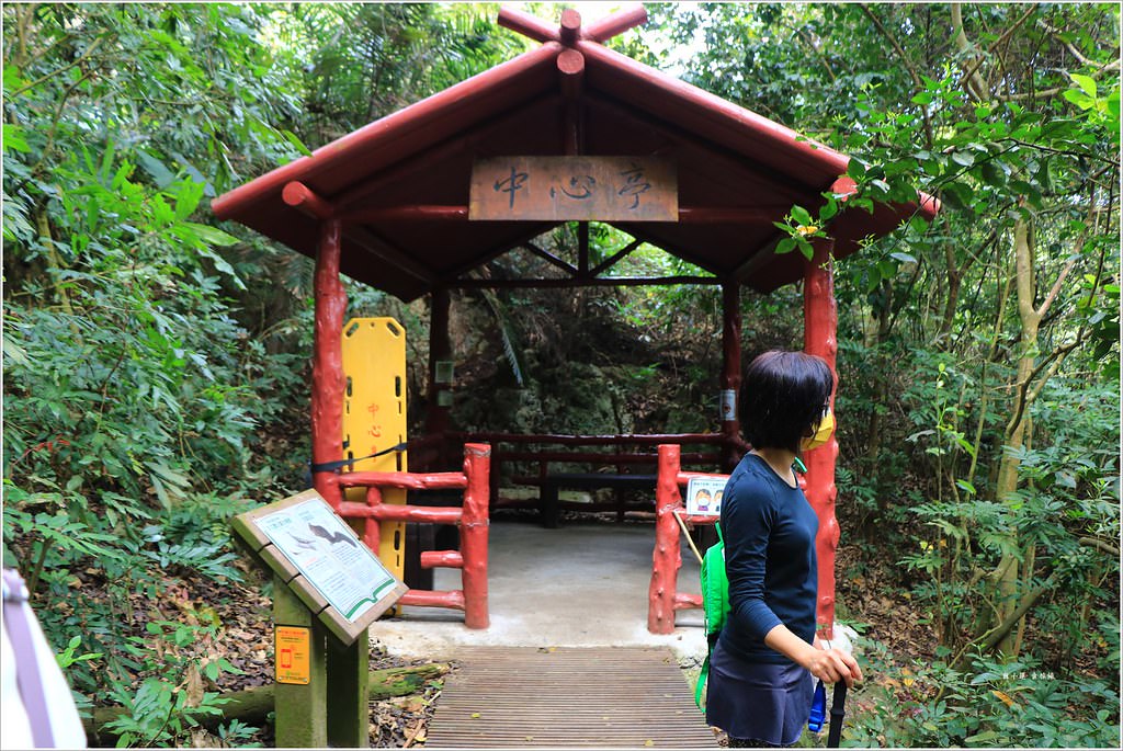壽山國家公園‧高雄人的後山,柴山盤榕道讓你永生難忘~我為什麼要來這! - 第46張圖 IMG_8544